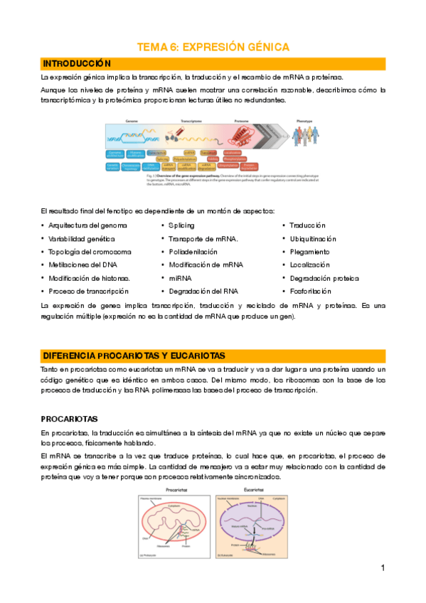Miniatura del documento 6 - Expresión génica