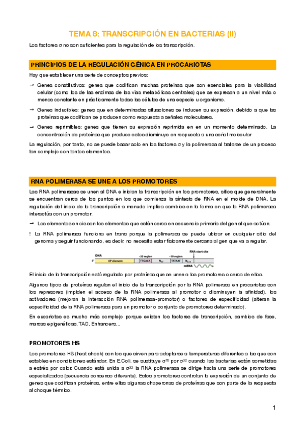 Miniatura del documento 8 - Transcripción en bacterias (II)