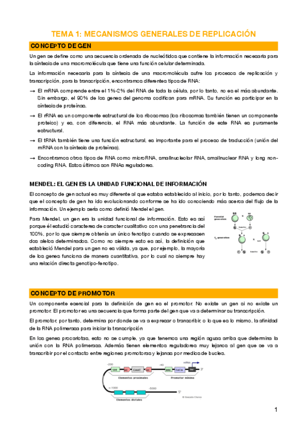 Miniatura del documento 1 - Mecanismos generales de replicación