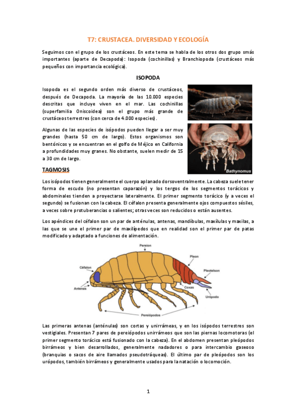 Miniatura del documento T7-Crustacea-diversidad-y-ecologia.pdf
