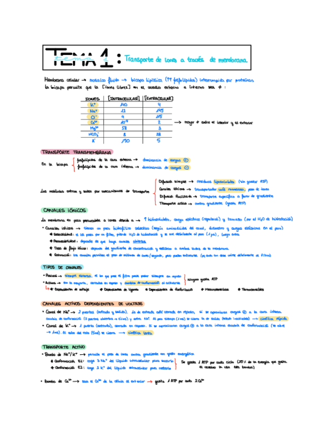 Miniatura del documento Resumen-2P-fisio-tema-1.pdf