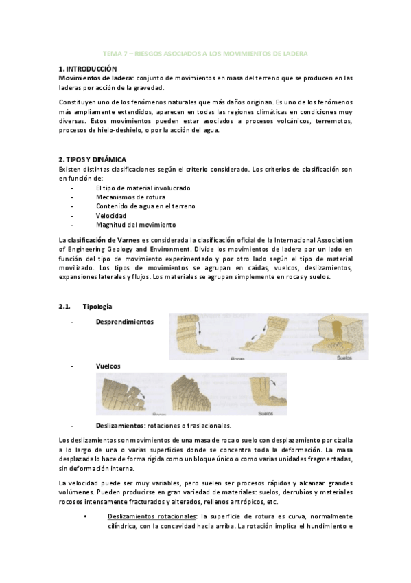 Miniatura del documento TEMA-7-RIESGOS.pdf