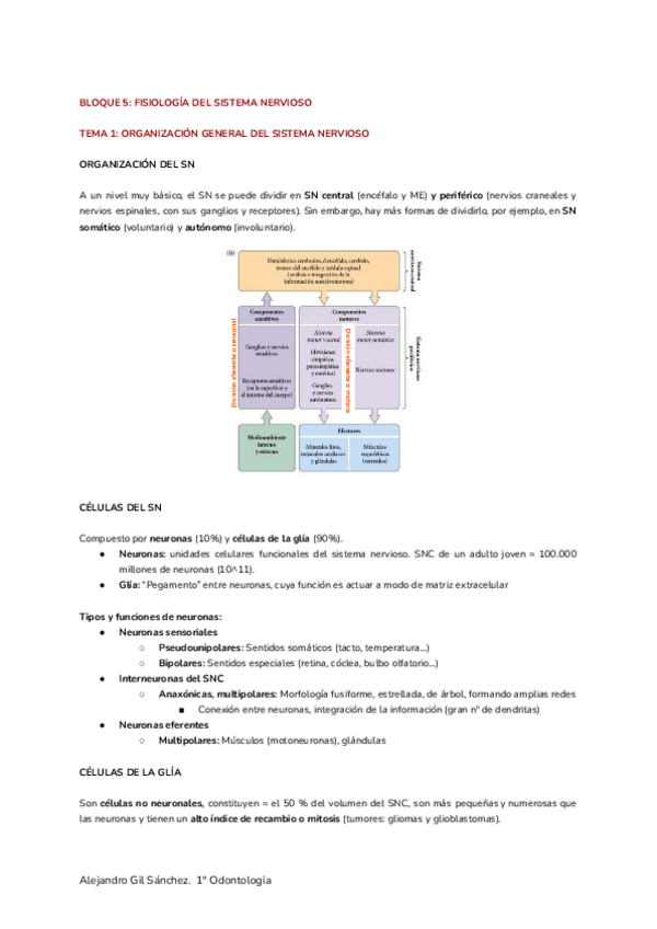 Miniatura del documento 2-Fisiologia-Humana-4.pdf