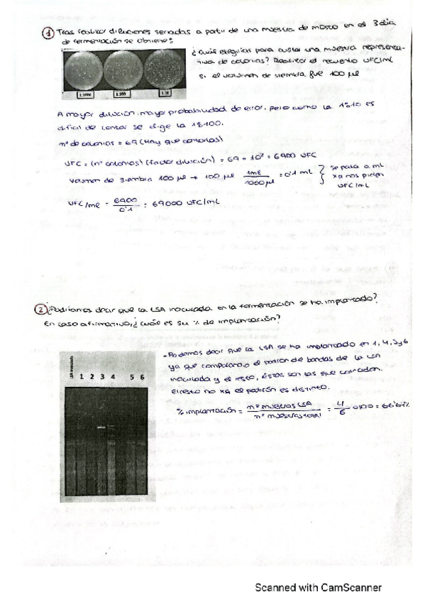 Miniatura del documento problemas-resueltos-liproc.pdf