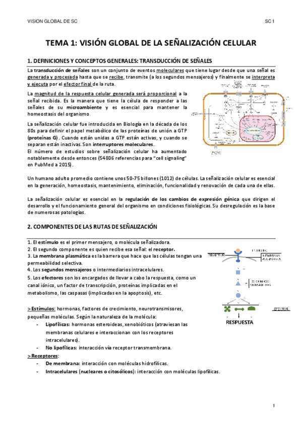 Miniatura del documento TEMA-1-SC.pdf