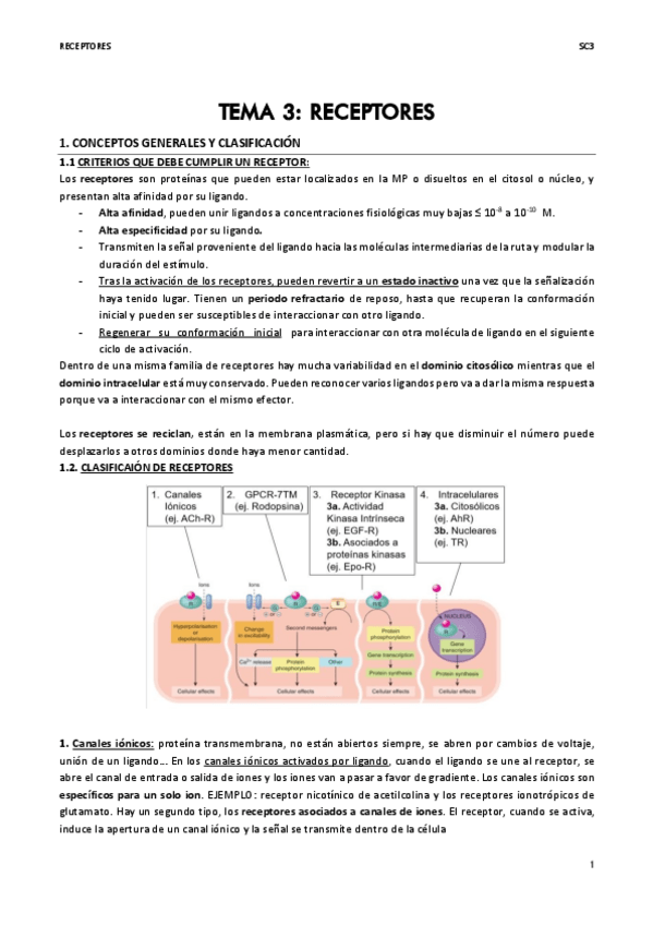 Miniatura del documento TEMA-3-SC.pdf