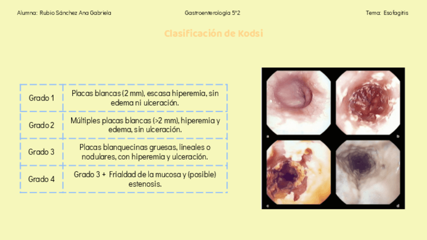 Miniatura del documento Clasificacion-de-KodsiAna-Gabriela-Rubio-Sanchez.pdf