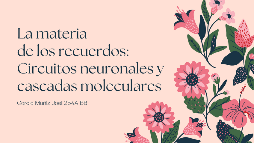 Miniatura del documento Memoria-bases-moleculares.pdf