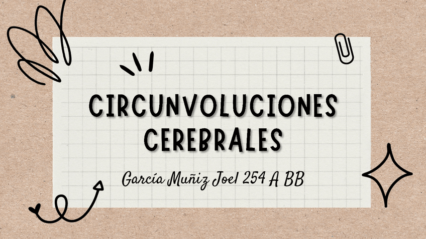 Miniatura del documento Circunvoluciones-cerebrales-y-Broadman.pdf