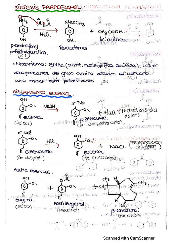 Miniatura del documento Reacciones-con-detalles-de-todas-las-practicas.pdf