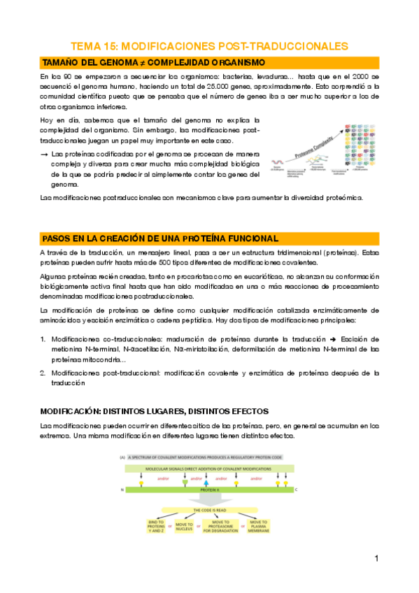 Miniatura del documento 15 - Modificaciones post-traduccionales