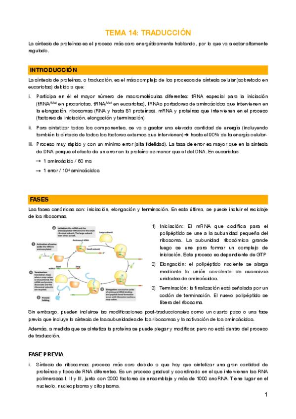 Miniatura del documento 14 - Traducción