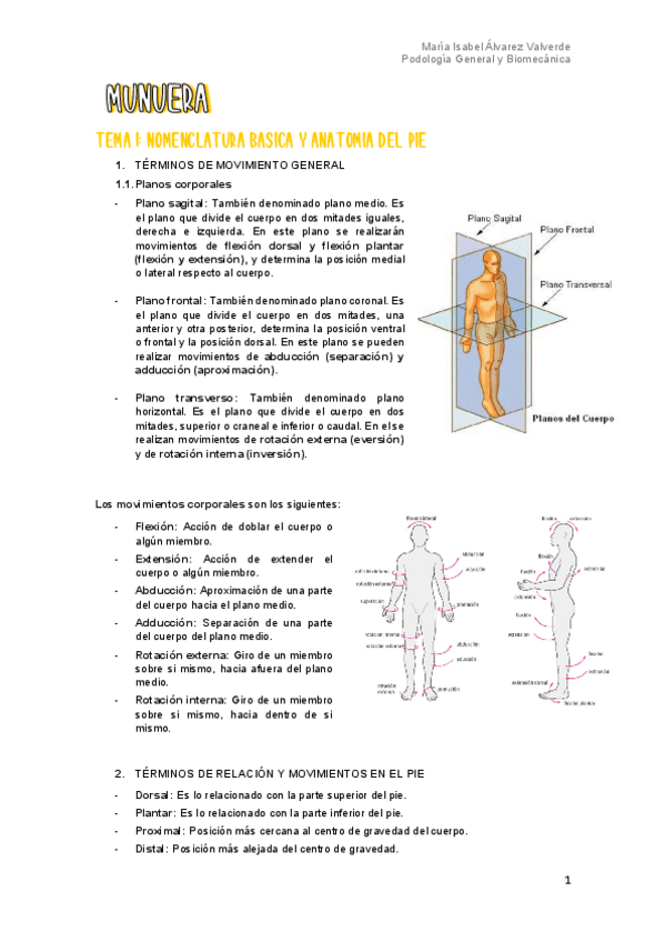 Miniatura del documento T1-Nomenclatura-basica-y-anatomia-del-pie.pdf