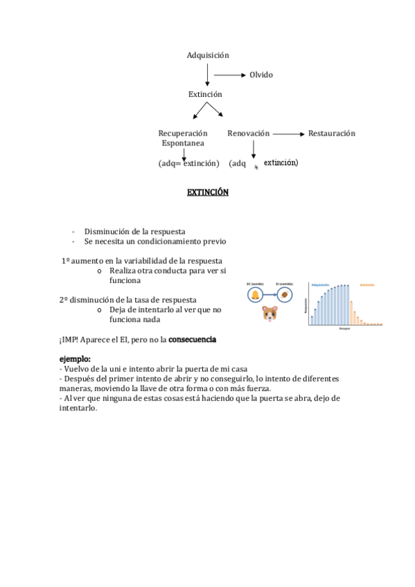 Miniatura del documento terminos.pdf
