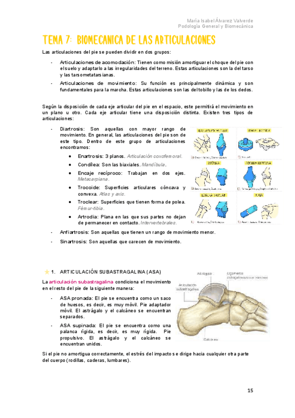 Miniatura del documento T7-Biomecanica-de-las-articulaciones.pdf