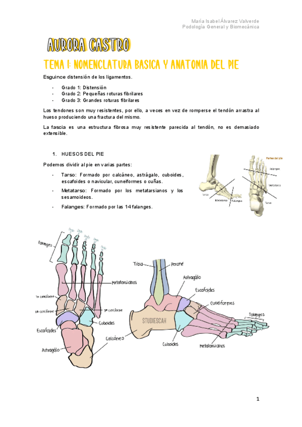 Miniatura del documento T1-Nomenclatura-basica-y-anatomia-del-pie.pdf