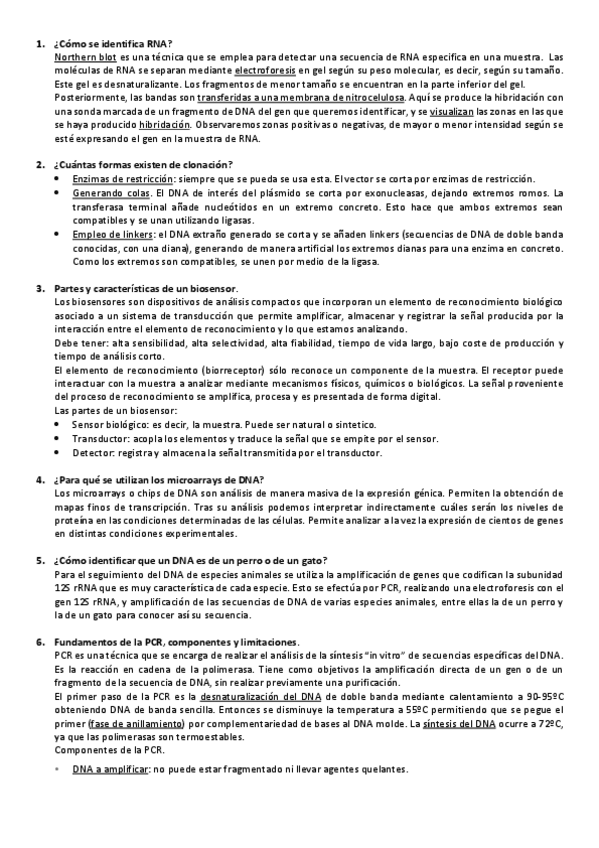 Miniatura del documento Preguntas-examen.pdf