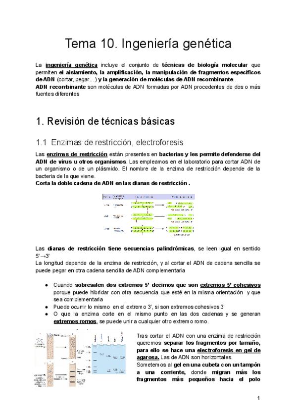 Miniatura del documento Tema-10.pdf