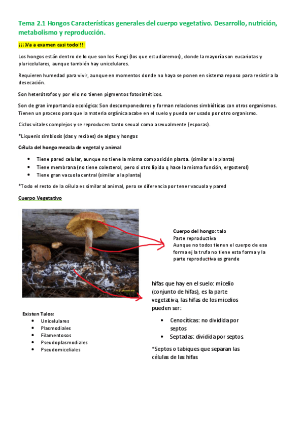 Miniatura del documento Tema-9-Hongos.pdf