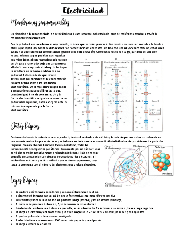 Miniatura del documento ELECTRICIDAD.pdf