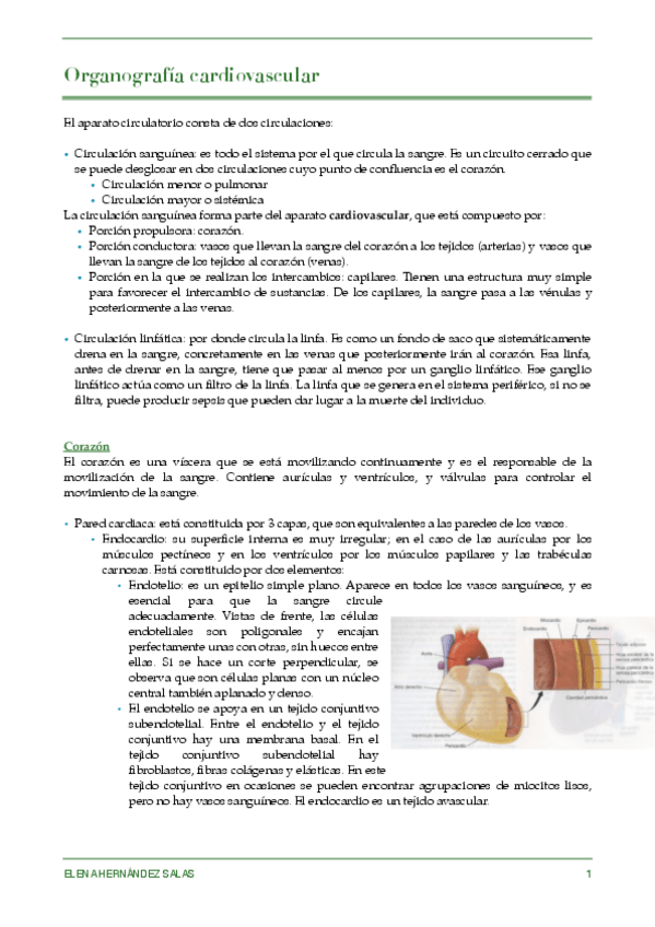 Miniatura del documento Organo cardio.pdf
