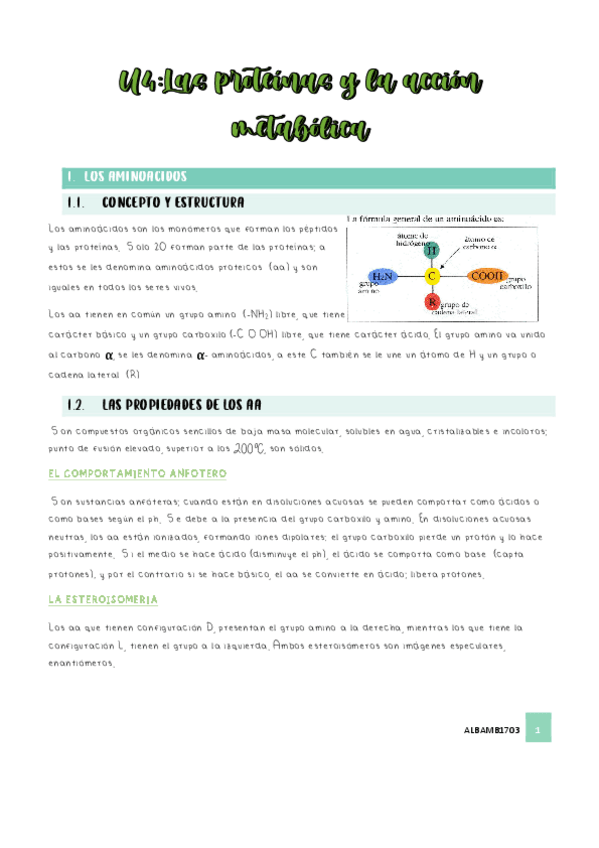 Miniatura del documento U4-las-proteinas.pdf