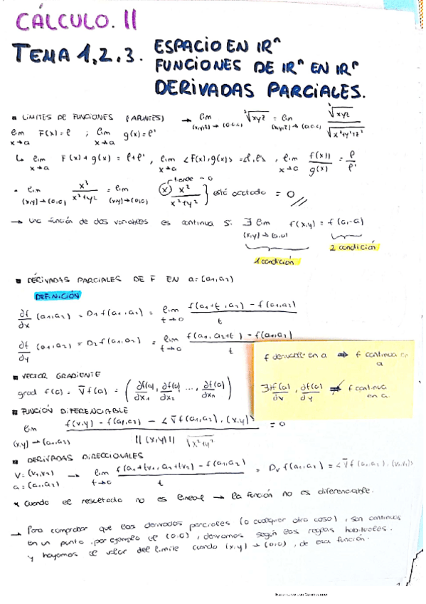 Miniatura del documento Resumen-Teoria-esencial.pdf