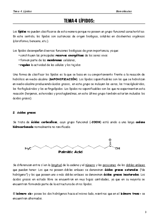 Miniatura del documento BM-T4.pdf