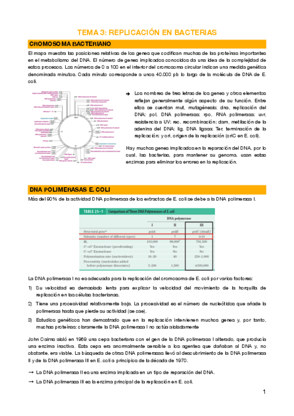 Miniatura del documento 3 - Replicación en bacterias