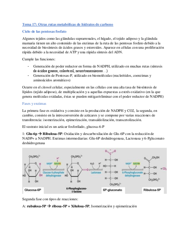 Miniatura del documento Tema-17.pdf