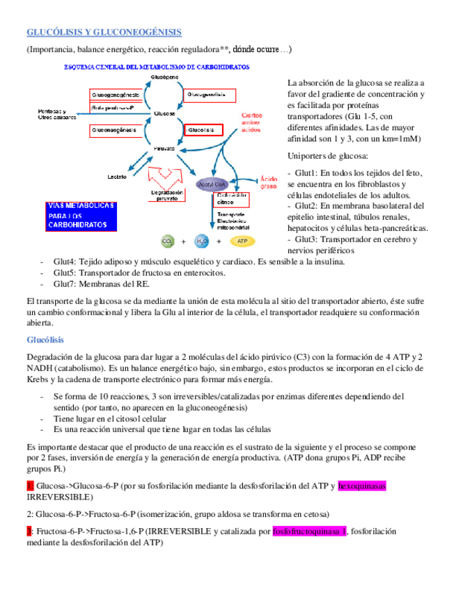 Miniatura del documento Tema-15.pdf