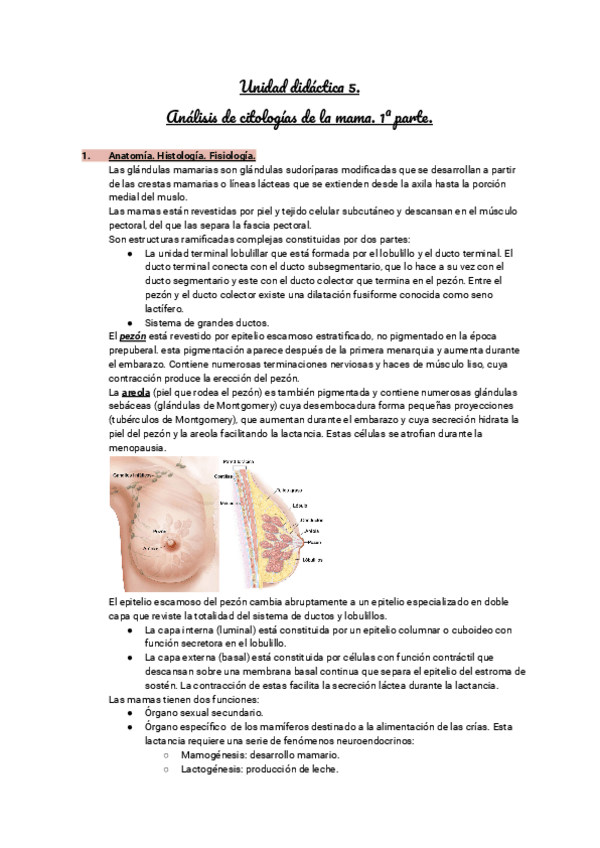 Miniatura del documento Unidad-didactica-5.pdf