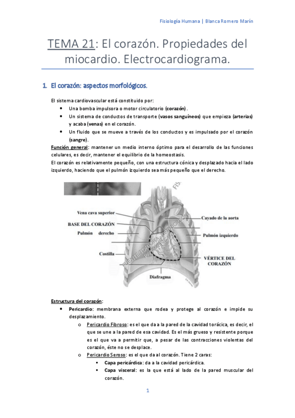 Miniatura del documento T-21 El corazón. Propiedades del miocardio. Electrocardiograma.pdf