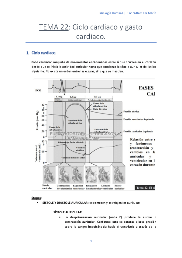 Miniatura del documento T-22 Ciclo cardiaco y gasto cardiaco.pdf