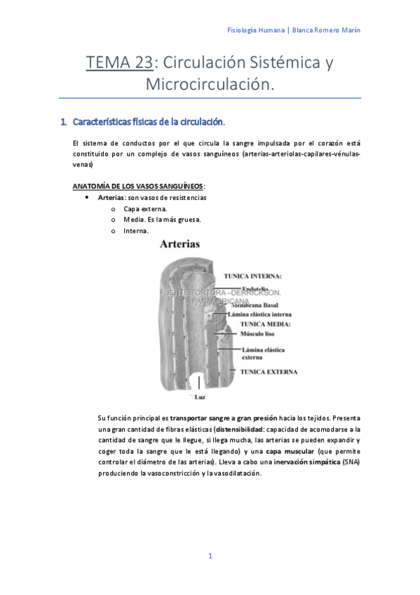 Miniatura del documento T-23 Circulación Sistémica y Microcirculación.pdf