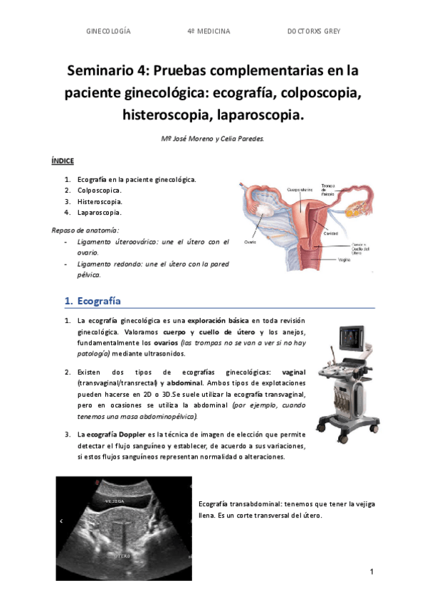 Miniatura del documento Seminario-4.pdf