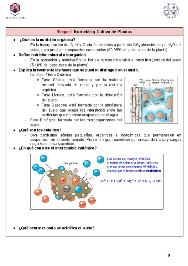 Miniatura del documento Apuntes | Examen.pdf