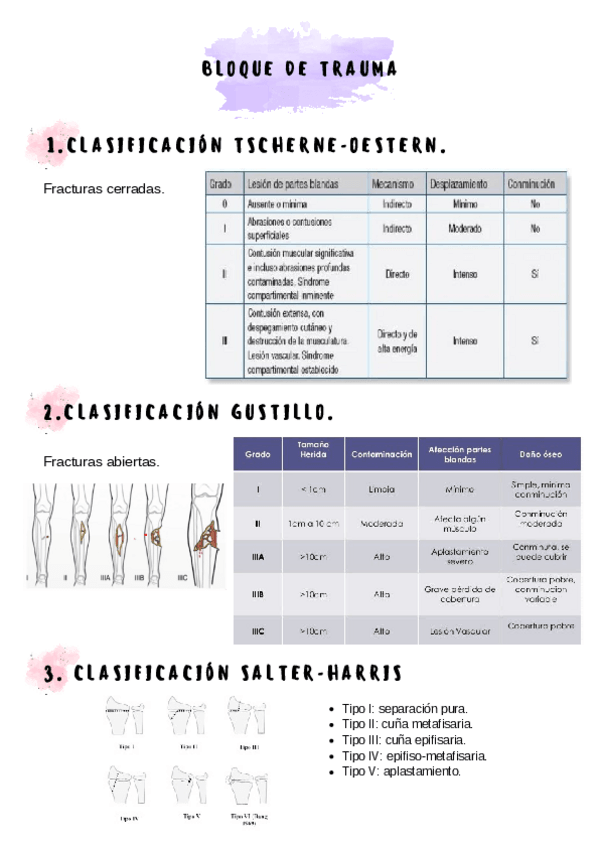 Miniatura del documento afecciones-quirurgicas-1.pdf