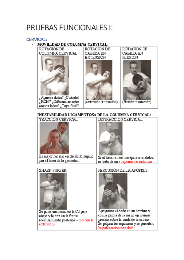 Miniatura del documento PRUEBAS-FUNCIONALES-I.pdf