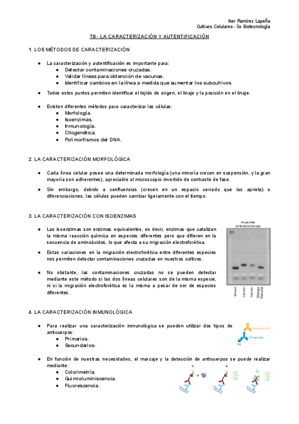 Miniatura del documento T8-CC-La-Caracterizacion-y-Autentificacion.pdf