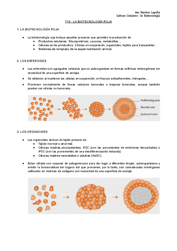 Miniatura del documento T12-CC-La-Biotecnologia-Roja.pdf