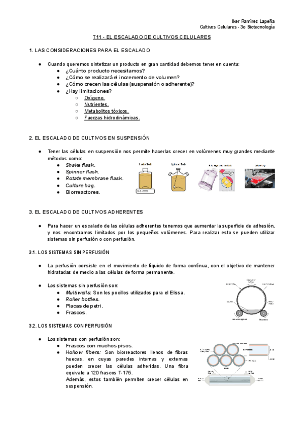 Miniatura del documento T11-CC-El-Escalado-de-Cultivos-Celulares.pdf