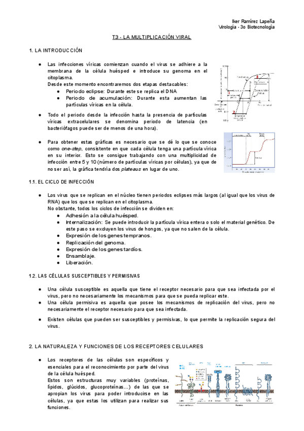 Miniatura del documento T3-VIR-La-Multiplicacion-Viral.pdf