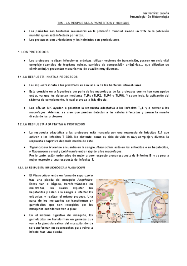 Miniatura del documento T25-IMM-La-Respuesta-a-Parasitos-y-Hongos.pdf