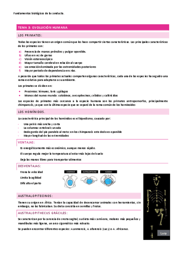 Miniatura del documento TEMA-3-fundamentos.pdf