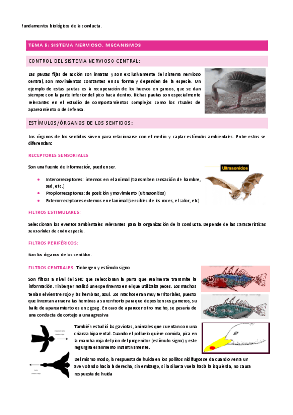 Miniatura del documento Tema-5-fundamentos.pdf