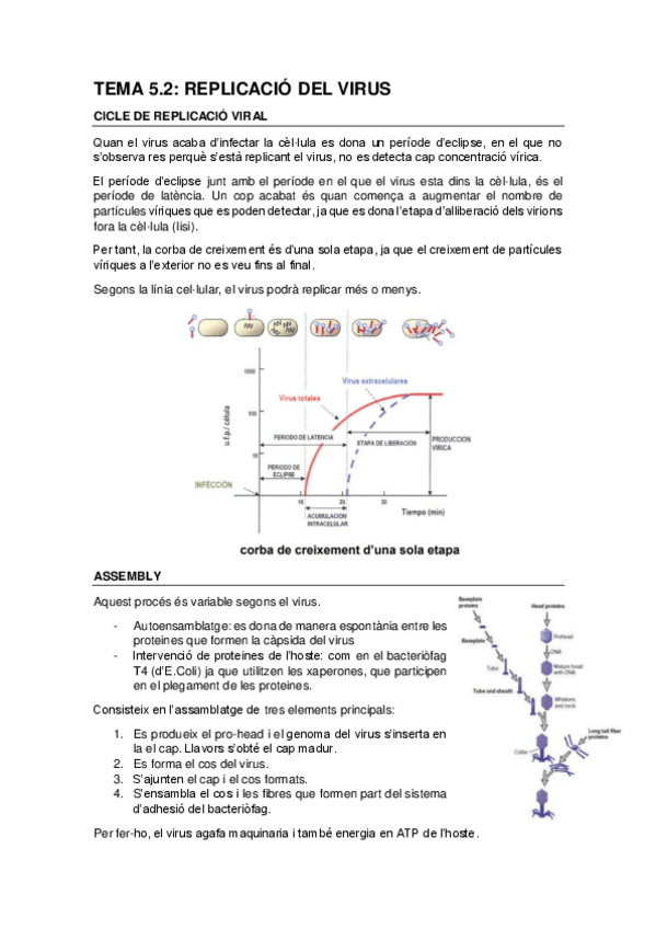 Miniatura del documento T.pdf