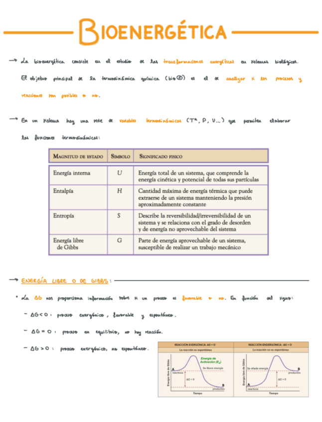 Miniatura del documento T4.pdf