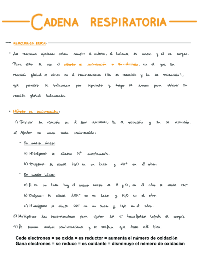 Miniatura del documento T5.pdf