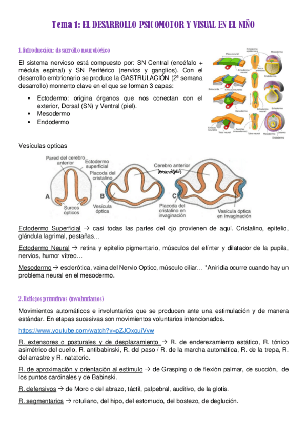 Miniatura del documento TEMARI-PEDI.pdf
